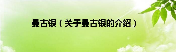 曼古银（关于曼古银的介绍）