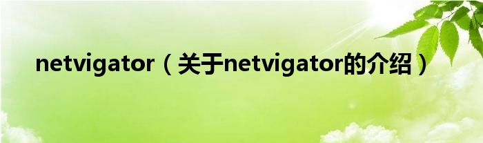 netvigator（关于netvigator的介绍）