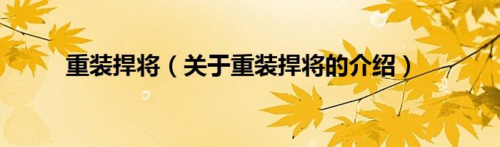 重装捍将（关于重装捍将的介绍）