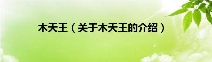 木天王（关于木天王的介绍）