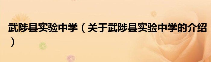 武陟县实验中学（关于武陟县实验中学的介绍）