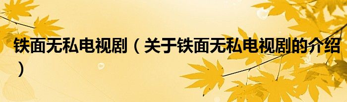 铁面无私电视剧（关于铁面无私电视剧的介绍）