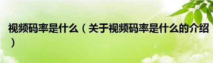 视频码率是什么（关于视频码率是什么的介绍）
