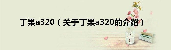 丁果a320（关于丁果a320的介绍）