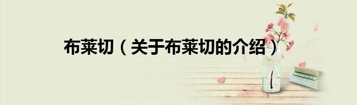 布莱切（关于布莱切的介绍）