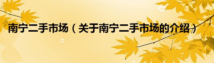 南宁二手市场（关于南宁二手市场的介绍）