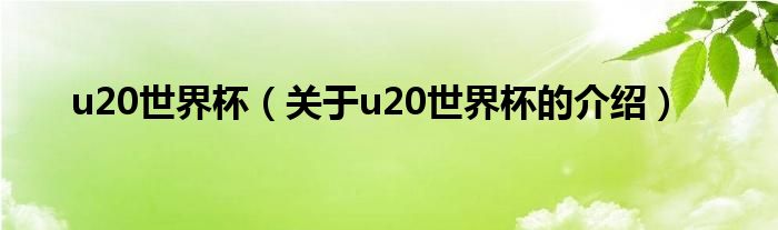 u20世界杯（关于u20世界杯的介绍）