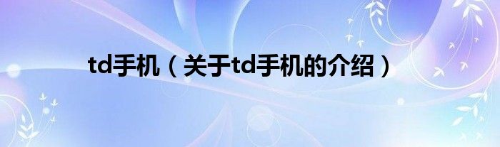 td手机（关于td手机的介绍）