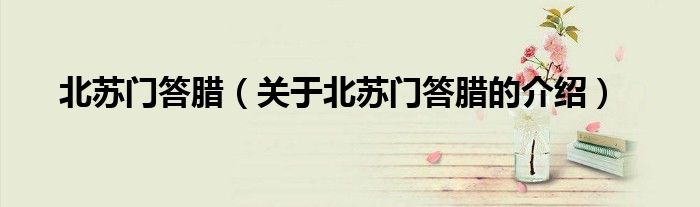 北苏门答腊（关于北苏门答腊的介绍）