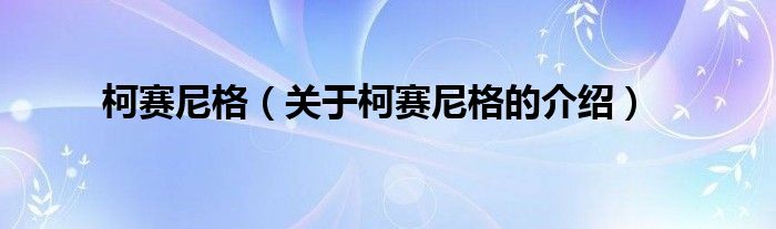 柯赛尼格（关于柯赛尼格的介绍）