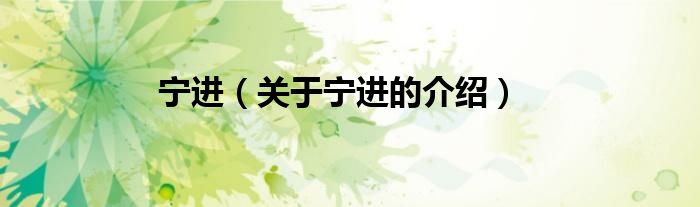 宁进（关于宁进的介绍）