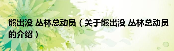 熊出没 丛林总动员（关于熊出没 丛林总动员的介绍）