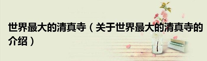 世界最大的清真寺（关于世界最大的清真寺的介绍）