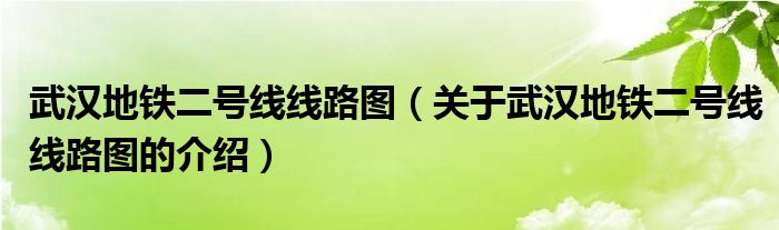 武汉地铁二号线线路图（关于武汉地铁二号线线路图的介绍）