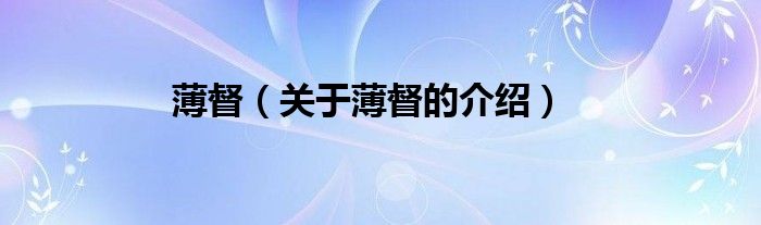 薄督（关于薄督的介绍）