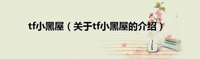 tf小黑屋（关于tf小黑屋的介绍）