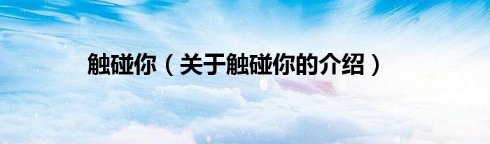 触碰你（关于触碰你的介绍）