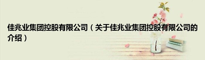 佳兆业集团控股有限公司（关于佳兆业集团控股有限公司的介绍）