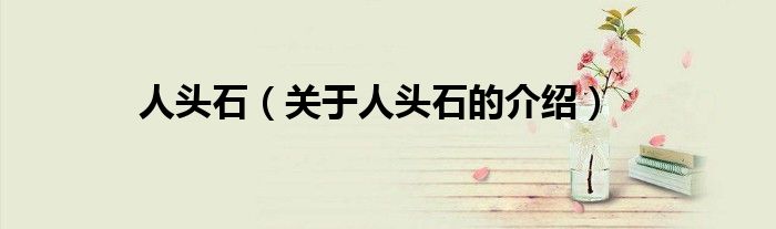 人头石（关于人头石的介绍）