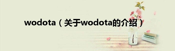 wodota（关于wodota的介绍）