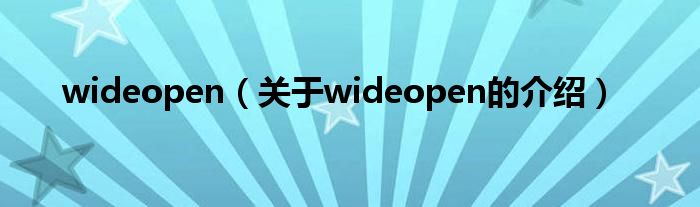 wideopen（关于wideopen的介绍）