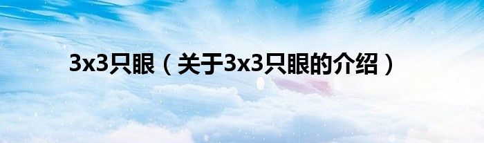 3x3只眼（关于3x3只眼的介绍）