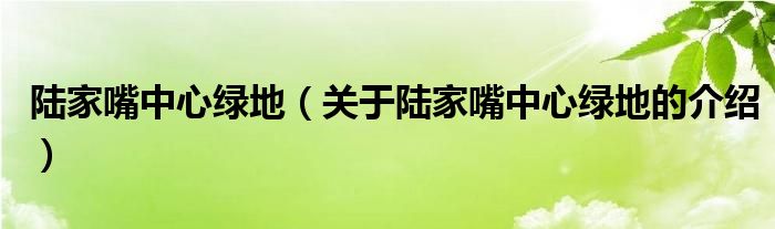 陆家嘴中心绿地（关于陆家嘴中心绿地的介绍）