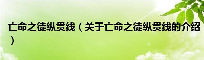 亡命之徒纵贯线（关于亡命之徒纵贯线的介绍）