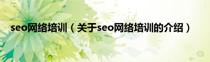 seo网络培训（关于seo网络培训的介绍）