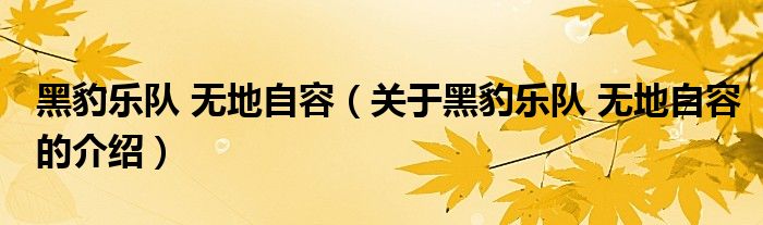 黑豹乐队 无地自容（关于黑豹乐队 无地自容的介绍）