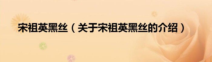 宋祖英黑丝（关于宋祖英黑丝的介绍）