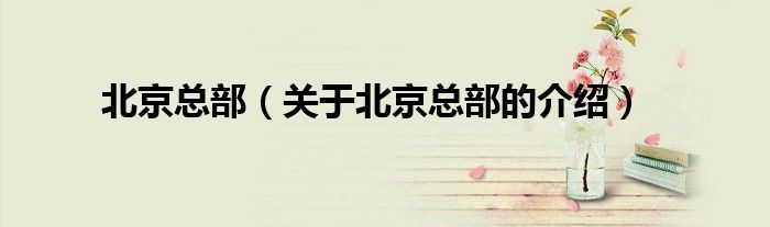 北京总部（关于北京总部的介绍）