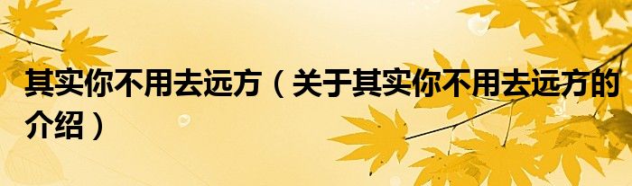 其实你不用去远方（关于其实你不用去远方的介绍）