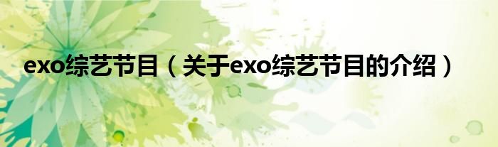 exo综艺节目（关于exo综艺节目的介绍）