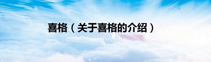 喜格（关于喜格的介绍）
