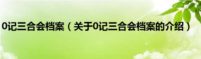 0记三合会档案（关于0记三合会档案的介绍）