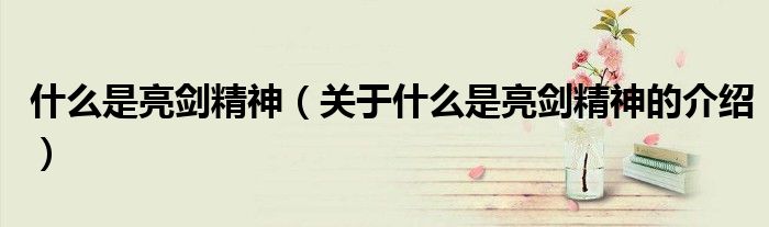 什么是亮剑精神（关于什么是亮剑精神的介绍）