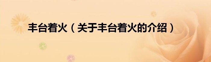 丰台着火（关于丰台着火的介绍）