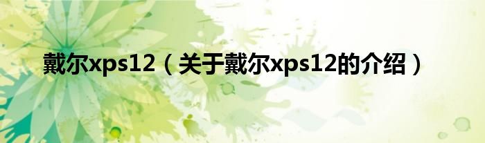戴尔xps12（关于戴尔xps12的介绍）