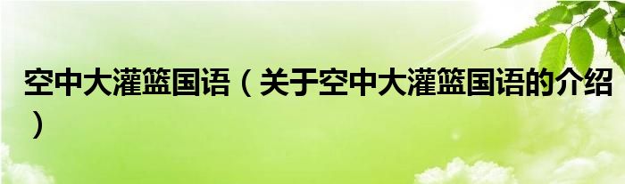 空中大灌篮国语（关于空中大灌篮国语的介绍）