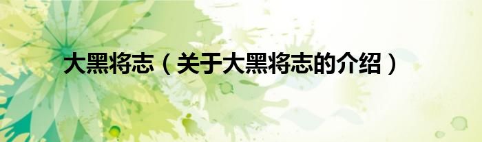 大黑将志（关于大黑将志的介绍）