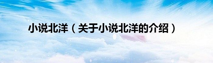 小说北洋（关于小说北洋的介绍）