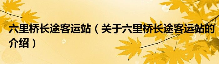六里桥长途客运站（关于六里桥长途客运站的介绍）