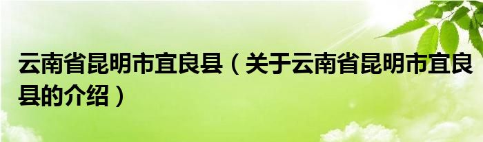 云南省昆明市宜良县（关于云南省昆明市宜良县的介绍）