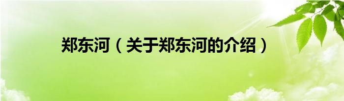 郑东河（关于郑东河的介绍）