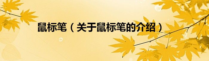 鼠标笔（关于鼠标笔的介绍）