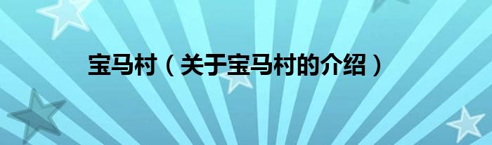 宝马村（关于宝马村的介绍）