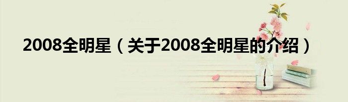 2008全明星（关于2008全明星的介绍）