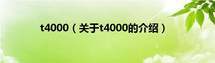 t4000（关于t4000的介绍）