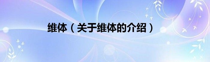 维体（关于维体的介绍）